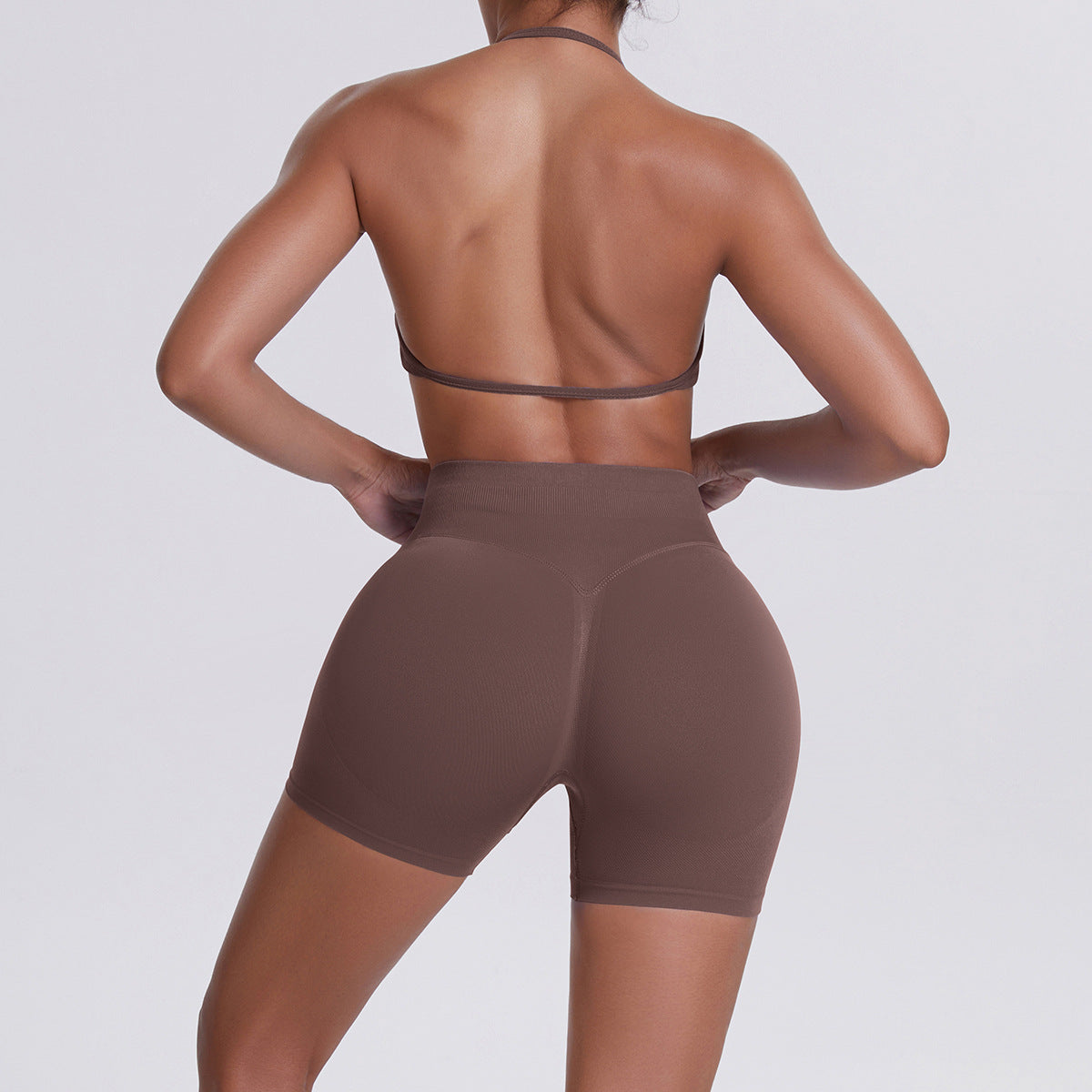 Seamless Yoga Sports Bra and Shorts Set